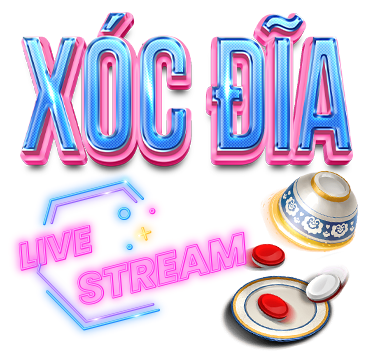 X&oacute;c đĩa fanvip